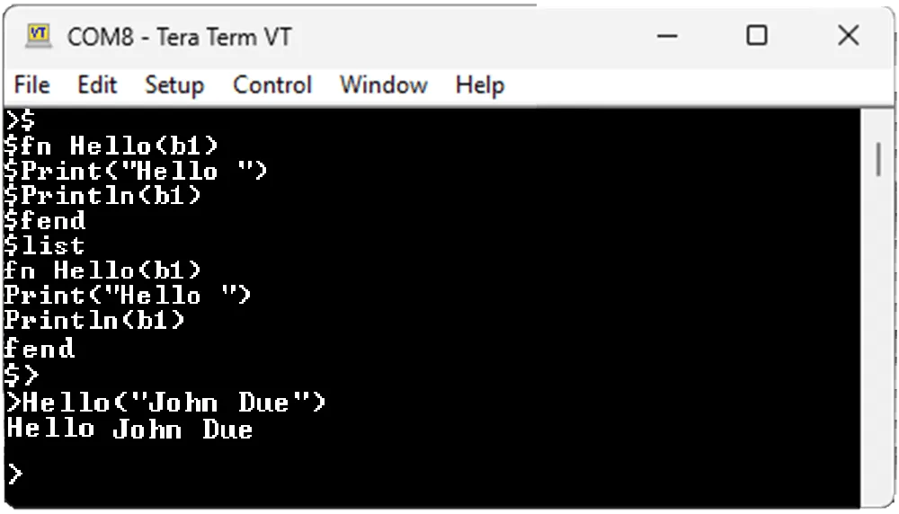 Tera Term Function Print